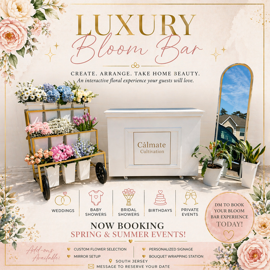 Bloom Bar Service